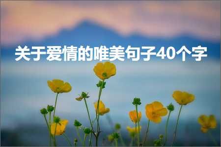 关于爱情的唯美句子40个字（文案18条）