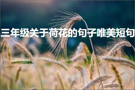 褰㈠灏戝勾澶栬矊鐨勫敮缇庡彞瀛愶紙鏂囨72鏉★級